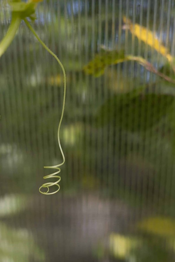 How Are UK Farmers Adapting to the Effects of Climate Change on Agriculture?